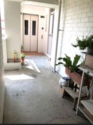 Blk 418 Hougang Avenue 8 (Hougang), HDB 5 Rooms #591428901